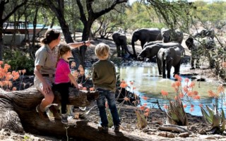 &Beyond Ngala Lodge [320x200]